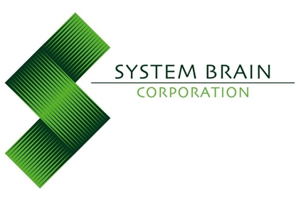 system brain